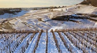 Vignoble du Jura