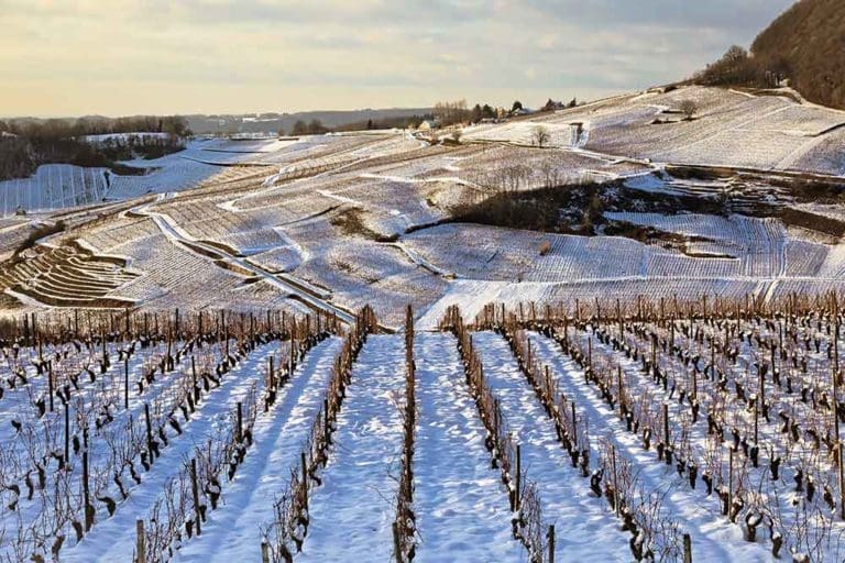 Vignoble du Jura