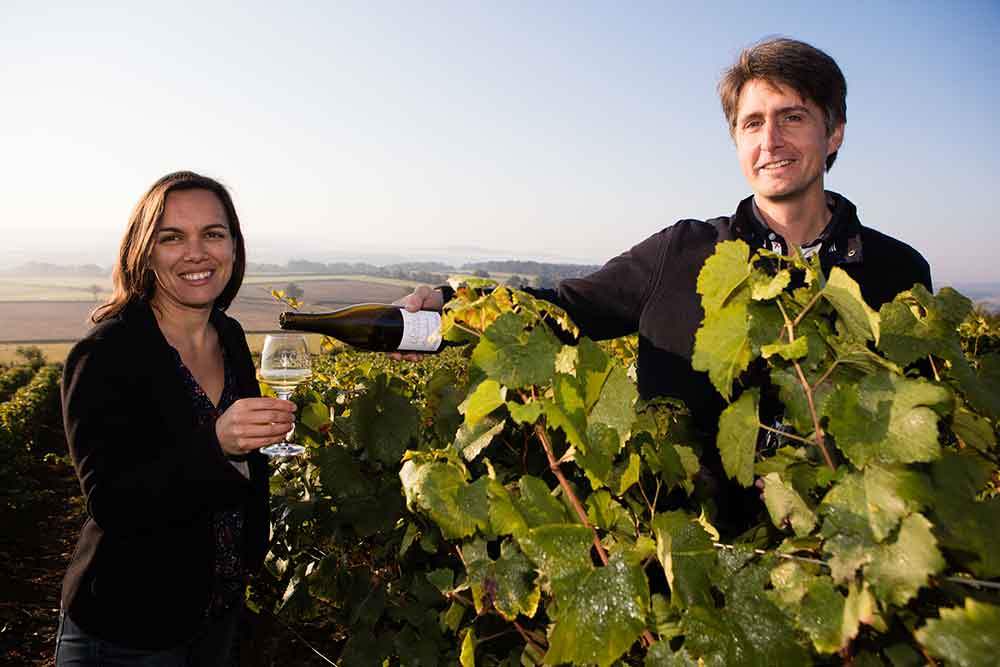Vin de Bourgogne - La Croix Montjoie