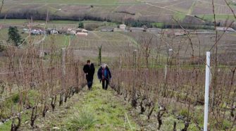 Château Thivin Beaujolais