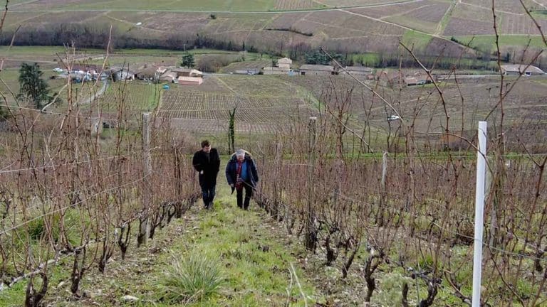 Château Thivin Beaujolais