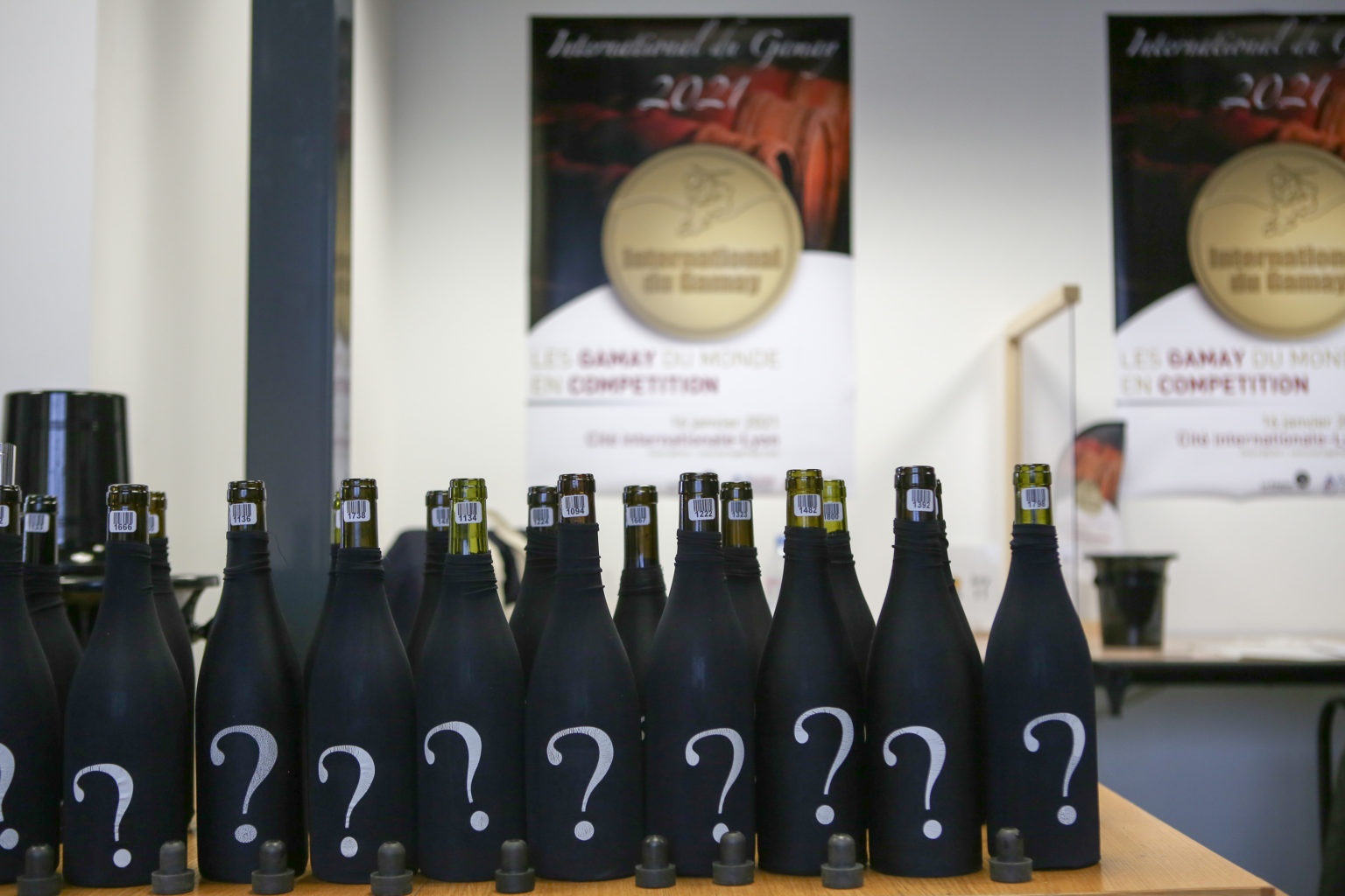 Le meilleur Gamay du monde est un Beaujolais Villages 2020! Les