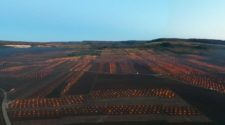 Vignoble avec bougies contre le gel