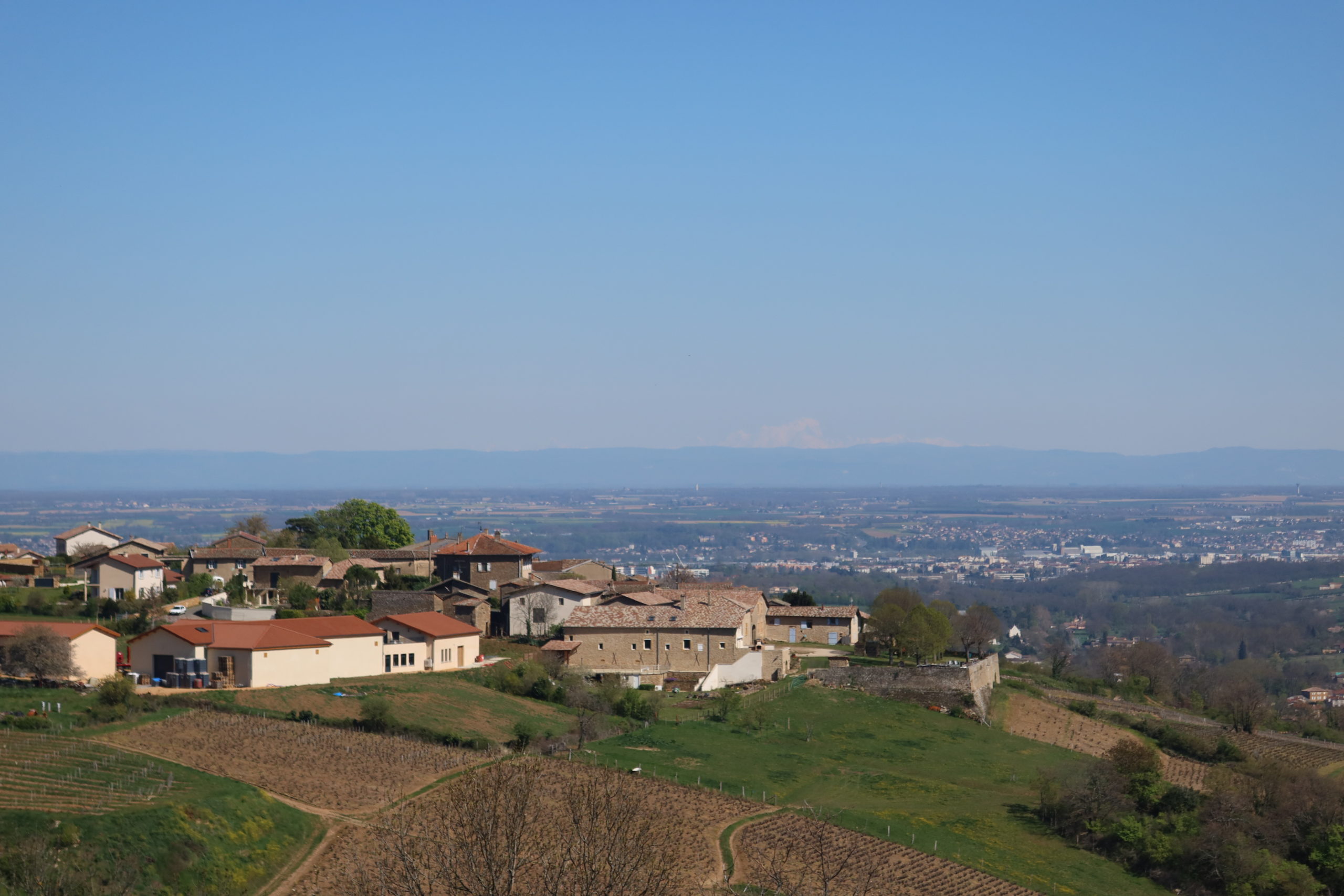 DEGUSTATION DE VINS DU BEAUJOLAIS : MANOIR DU CARRA à DENICE - Les 