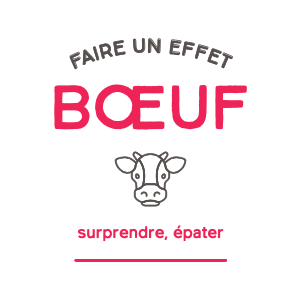 Fort comme un bœuf : que veut dire cette expression ?